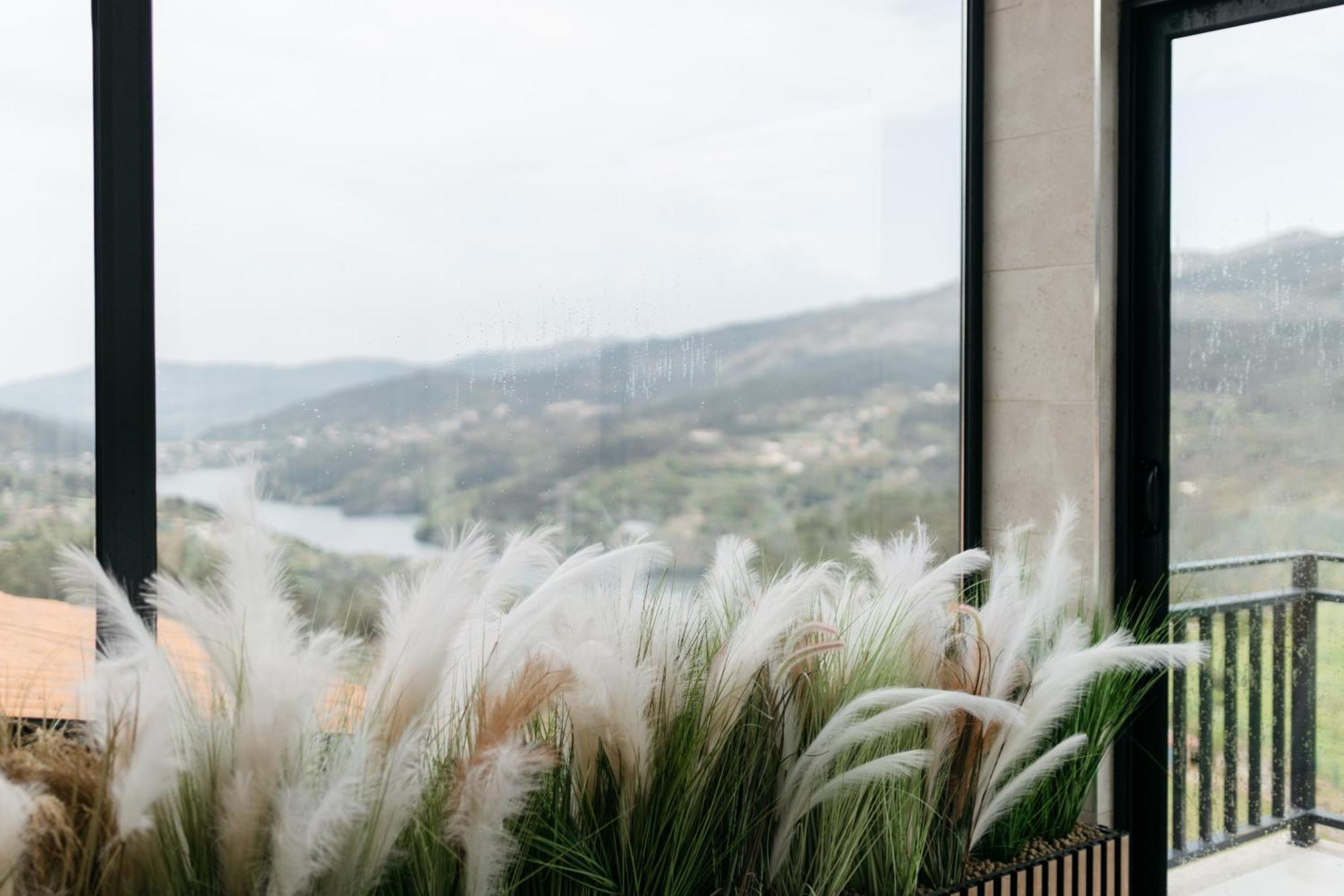 Quinta Do Bento Otel Vieira do Minho Dış mekan fotoğraf
