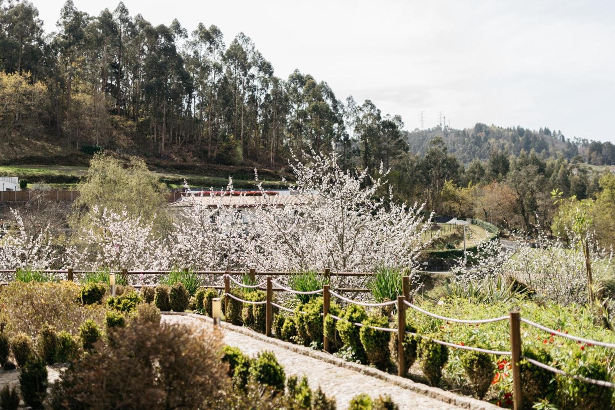 Quinta Do Bento Otel Vieira do Minho Dış mekan fotoğraf